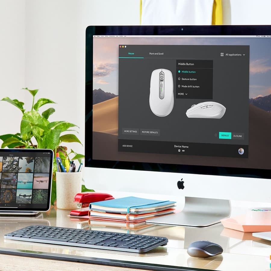 MX ANYWHERE 3 WLS MSE ROSE view 7